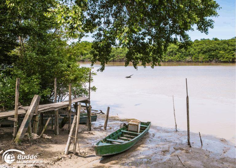 Südamerika Kreuzfahrt: Ein grünes Holzboot liegt am Ufer eines Gewässers, umgeben von Bäumen und einer Holzplattform.