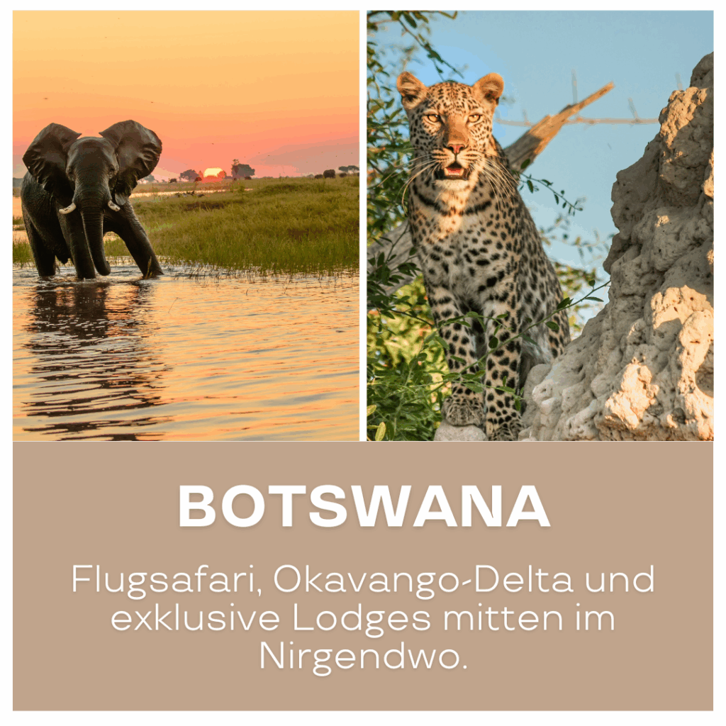 Ein Elefant im Wasser und ein Leopard auf einem Felsen in Botswana. - Urlaub in Afrika buchen