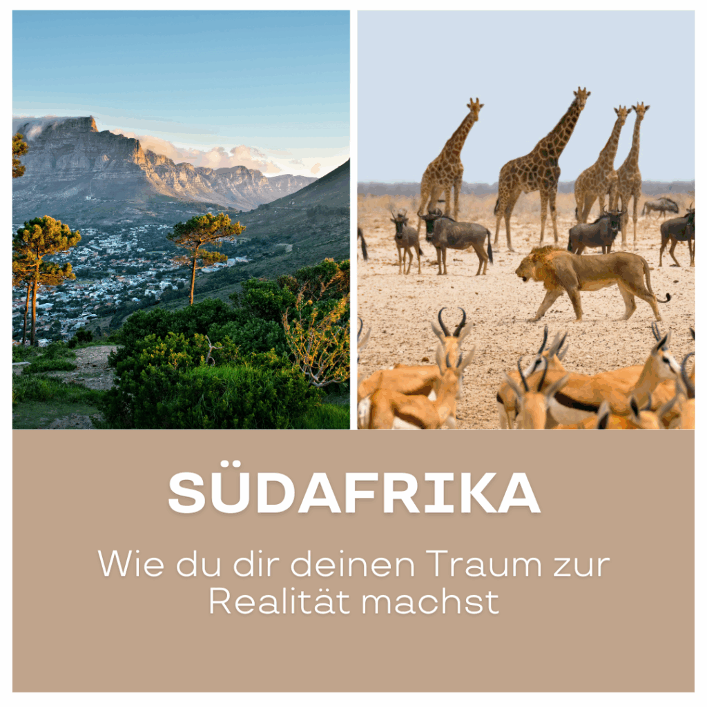 Bild von Südafrika mit einer Landschaft und Wildtieren wie Giraffen und Antilopen. - Afrika Urlaub buchen