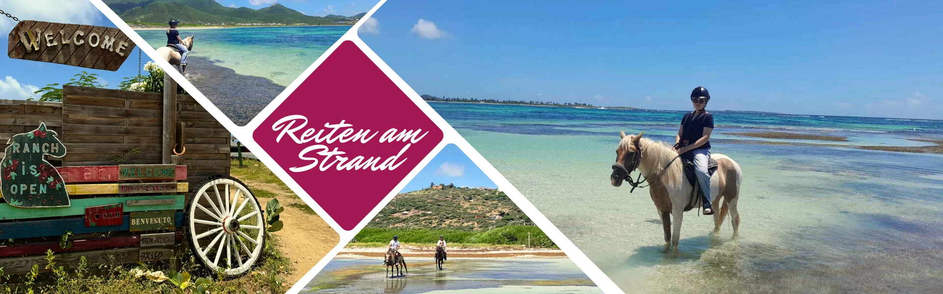Reiten am Strand auf Saint Martin, eine Aktivität buchbar bei Budde Urlaubsreisen, zeigt eine malerische Szene von Reitern auf dem Strand und Schilder des "Ranch du Galion".